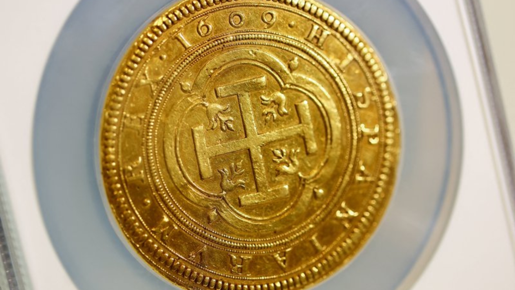 goldzino-2024.jpg